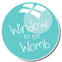 Window To The Womb discount