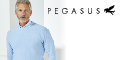 Pegasus Menswear promo code